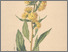 [thumbnail of 11875_1.png]