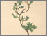 [thumbnail of 11953_1.png]