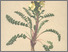 [thumbnail of 12010_1.png]
