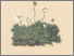 [thumbnail of 11840_1.png]
