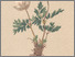 [thumbnail of 11656_1.png]