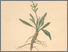 [thumbnail of 11862_1.png]