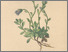 [thumbnail of 11947_1.png]