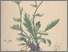 [thumbnail of 11889_1.png]
