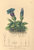 [thumbnail of 11972_1.png]