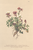 [thumbnail of 11788_1.png]