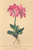 [thumbnail of 12296_1.png]