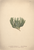[thumbnail of 12383_1.png]