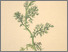 [thumbnail of 11888_1.png]