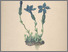 [thumbnail of 11977_1.png]