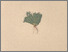 [thumbnail of 12278_1.png]