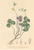 [thumbnail of 11691_1.png]