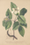 [thumbnail of 11653_1.png]