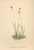 [thumbnail of 12353_1.png]