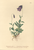[thumbnail of 11949_1.png]