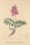 [thumbnail of 11781_1.png]