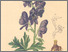 [thumbnail of 11680_1.png]