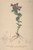 [thumbnail of 12013_1.png]