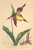 [thumbnail of 12339_1.png]