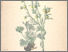 [thumbnail of 11883_1.png]