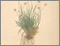[thumbnail of 12372_1.png]