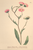 [thumbnail of 11872_1.png]