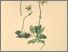 [thumbnail of 11960_1.png]