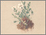 [thumbnail of 11755_1.png]