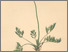 [thumbnail of 11853_1.png]