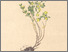 [thumbnail of 11810_1.png]