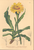 [thumbnail of 11919_1.png]