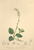 [thumbnail of 11961_1.png]