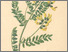 [thumbnail of 11772_1.png]