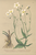 [thumbnail of 11668_1.png]
