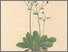 [thumbnail of 11824_1.png]