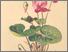 [thumbnail of 12303_1.png]