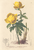 [thumbnail of 11675_1.png]