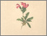 [thumbnail of 12003_1.png]