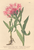 [thumbnail of 11913_1.png]
