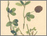 [thumbnail of 11770_1.png]