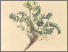 [thumbnail of 11774_1.png]