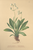 [thumbnail of 11863_1.png]