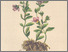 [thumbnail of 11990_1.png]