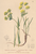 [thumbnail of 11848_1.png]