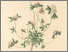 [thumbnail of 11768_1.png]