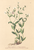 [thumbnail of 11736_1.png]