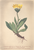 [thumbnail of 11916_1.png]