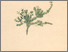 [thumbnail of 11742_1.png]