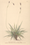 [thumbnail of 12365_1.png]