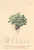 [thumbnail of 11746_1.png]